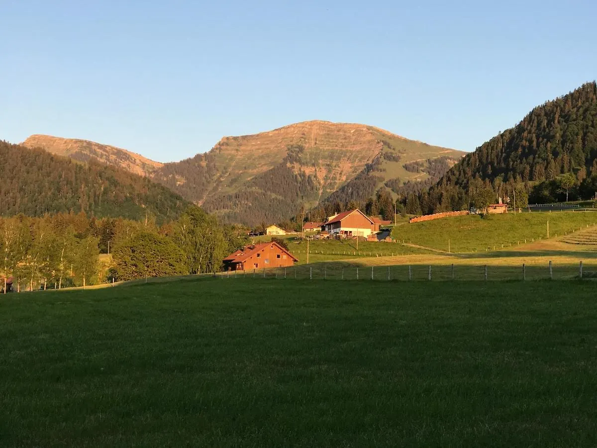 Apartment Ferienwohnung Steibis / Allgaeu