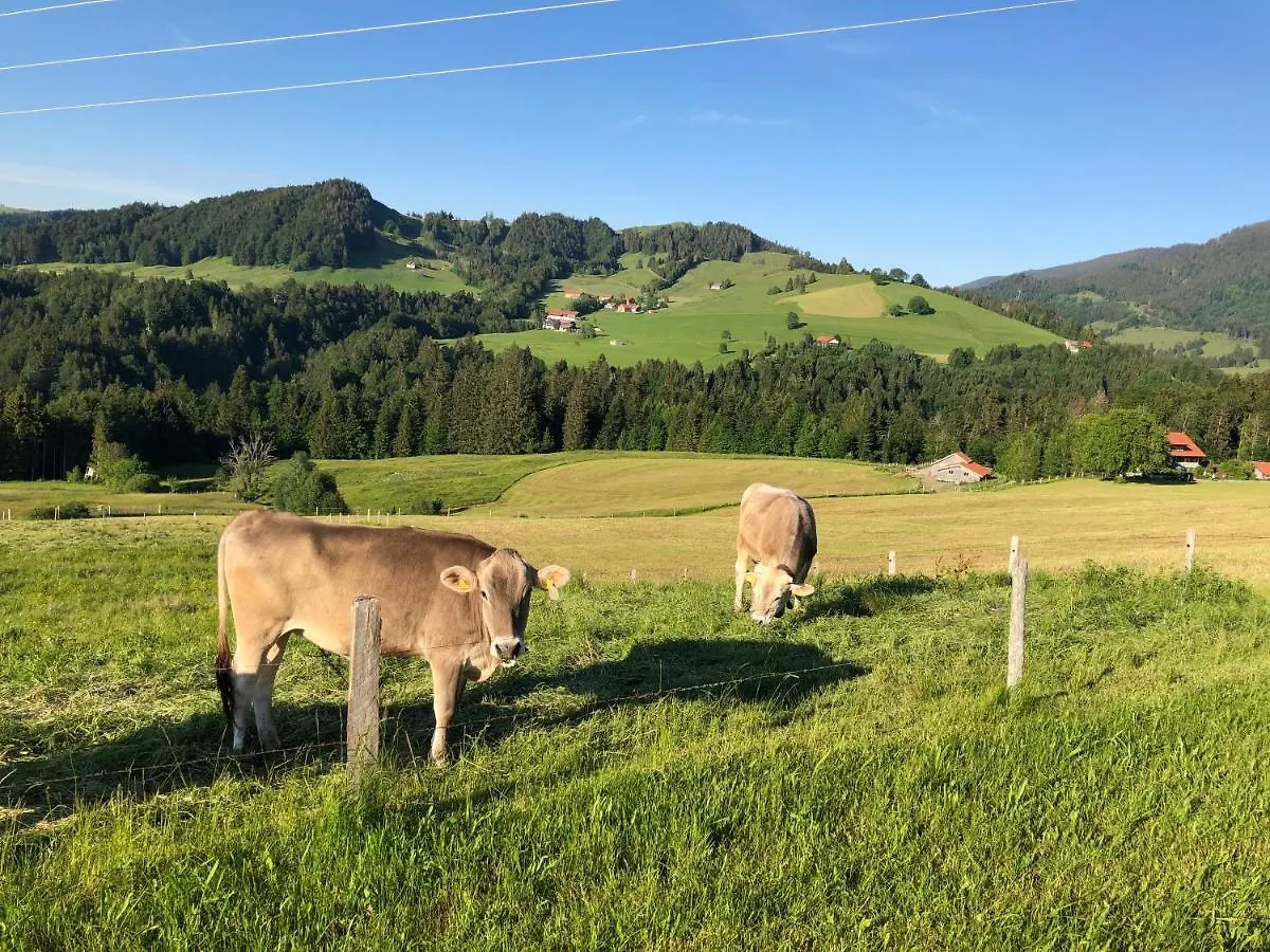Ferienwohnung Steibis / Allgaeu 0*,