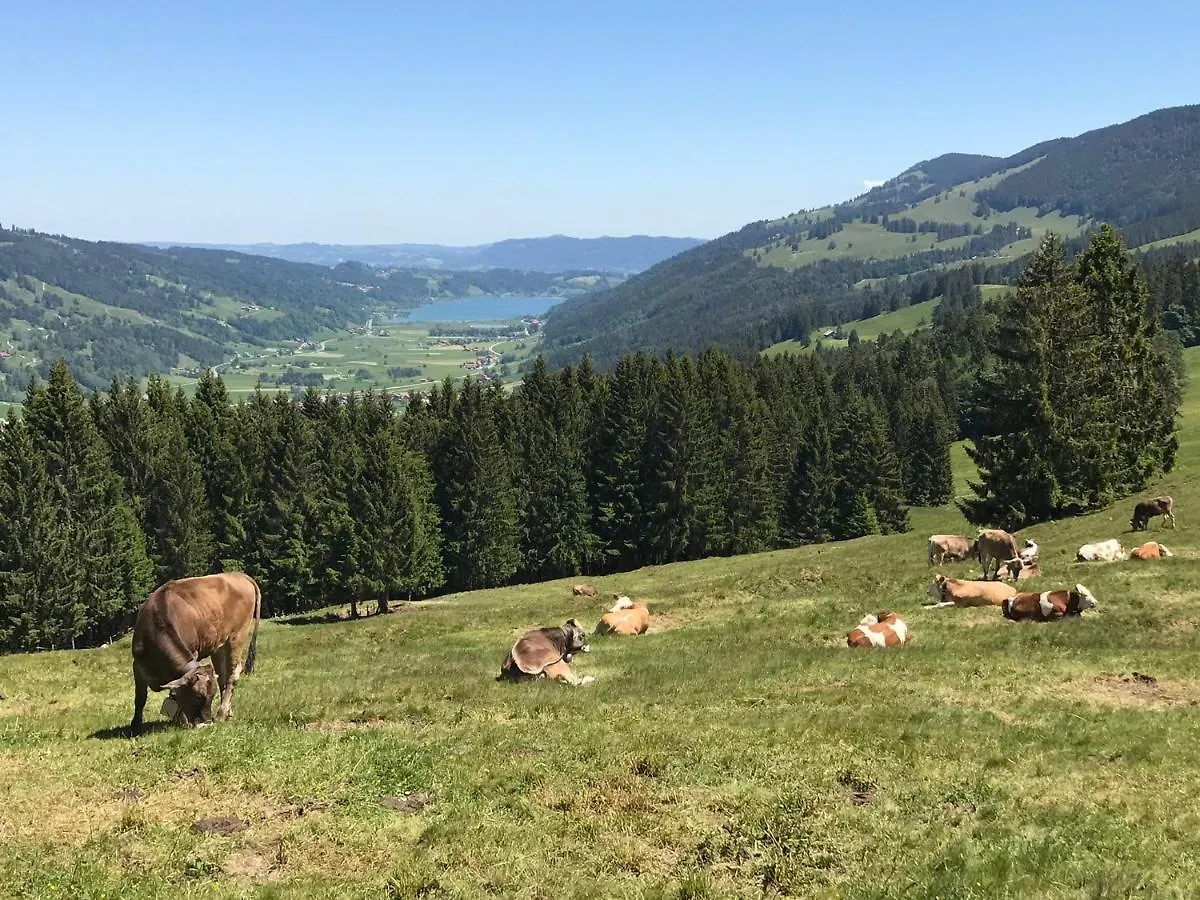 Ferienwohnung Steibis / Allgaeu Apartment