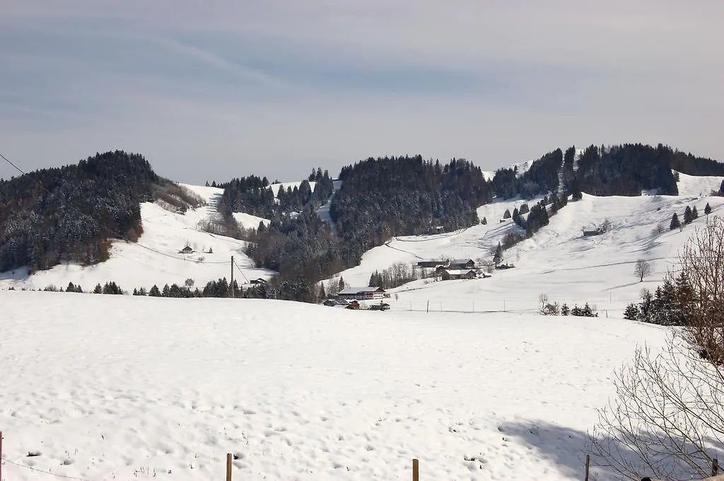 Apartment Ferienwohnung Steibis / Allgäu